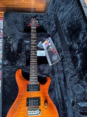 PRS Guitars Custom 24 10-top