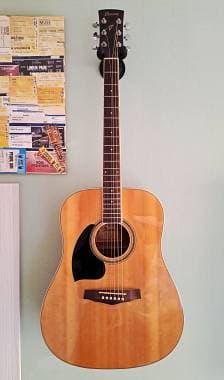 Ibanez PF15L-NT