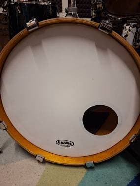 Evans EQ3 RESO 20 bass