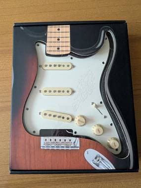 Fender Stratocaster 59 vintage set precablato