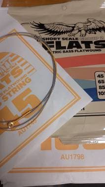 Ernie Ball Flats short scale