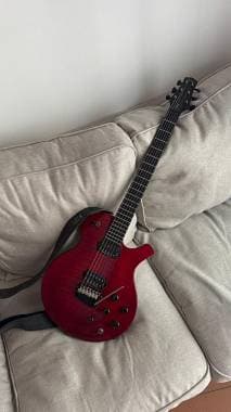 Parker pm24 pro Seymour duncan e fishman