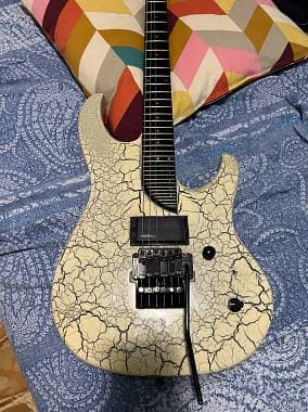 Washburn Ec 36 introvabile scambio permuto