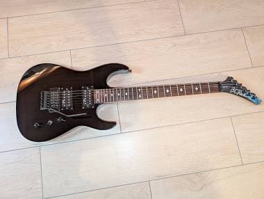 B.C. Rich Assassin N.J. Series