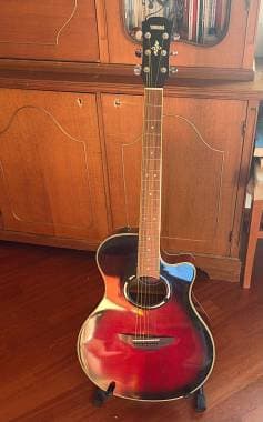 Yamaha APX 500 III + supporto per chitarra