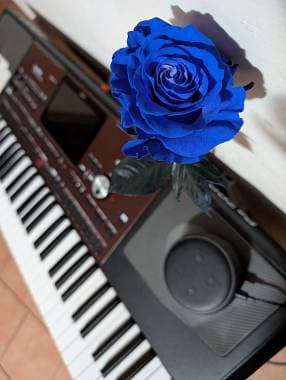Korg Pa700 vendo
