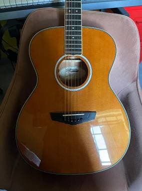 D'Angelico Guitars Tammany excell