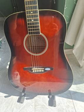 Chitarra Sx Acustica elettrificata