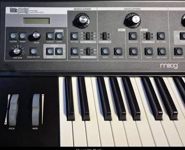 Moog little phatty