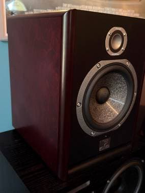 Focal solo BE6
