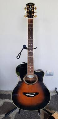 Yamaha PRO APX-8A