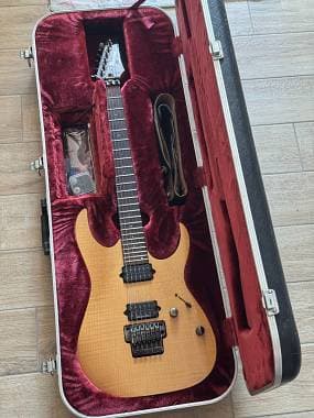 Ibanez RG3120F Prestige Japan (FujiGen 2005) - Aged Natural (ANT) - FULL PACK