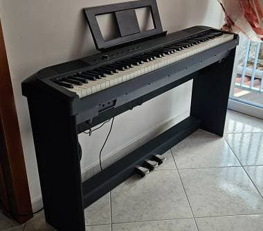 FBT E-Chord DP1