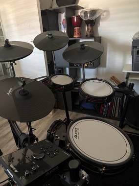 Alesis Crimson 2