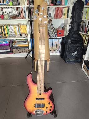 Vendo Lakland Skyline 55-02 in ottime condizioni