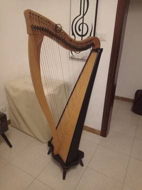 Arpa Celtica Dusty Strings