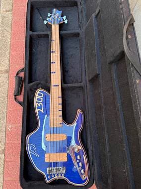 Sale or Trade Pasini 5