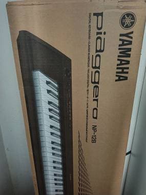 Yamaha Piaggero np12