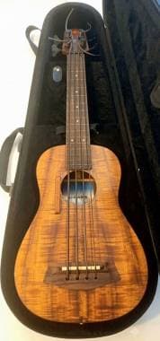 Kala Ukulele Bass Fretless