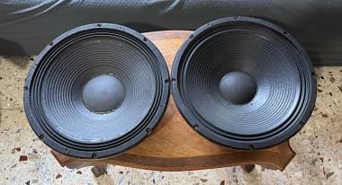 Woofer RCF L15P200/AK