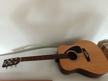 Yamaha F310P