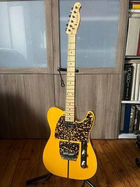 Harley Benton TE80 Tele/Mad Cat Deluxes Series