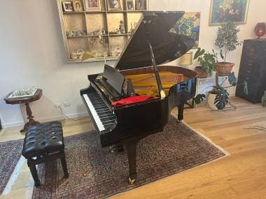 Vendo Pianoforte a Coda PETROF P 173 Breeze (Anno 2007) Condizioni Perfette