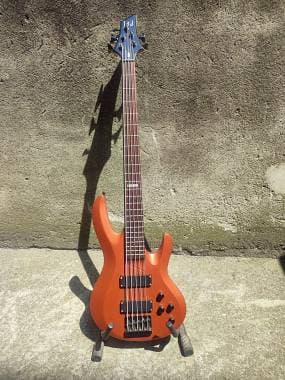 LTD by ESP b 105