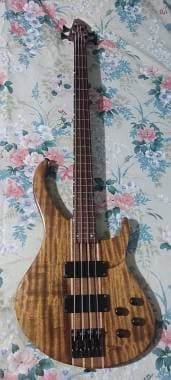 Peavey Grind NTB Raro no BXP