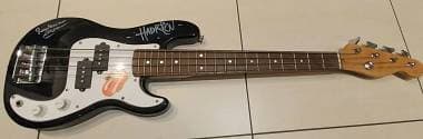 Basso junior