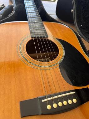 Hohner Leyanda Line Mod. MW 400 N e custodia rigida