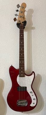 G&L Fallout Tribute