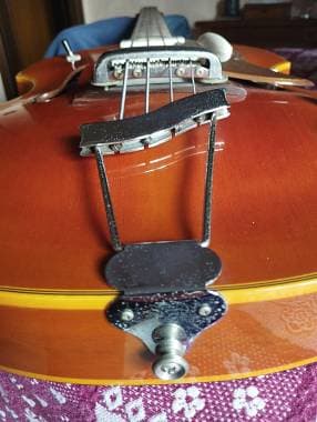 Eko Guitars VIOLIN BASS 995