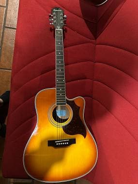 Epiphone Ft-350 SCE