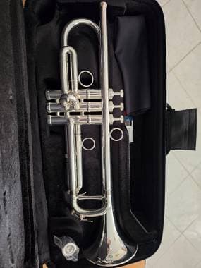 Tromba professionale Sib Schagerl JM2S