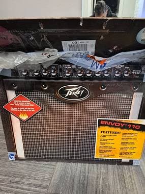 Peavey PEAVEY ENVOY 110