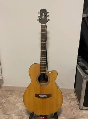 Takamine EG260C