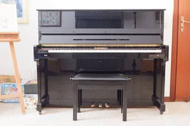 Pianoforte Verticale Rosenbach DU21G + panca