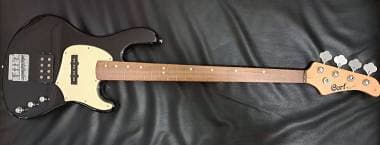 Cort G-series 2008 fretless