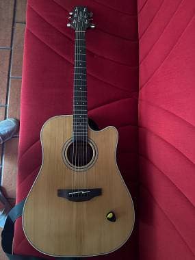 Takamine GD20CE NS