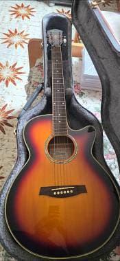 Ibanez AEG10-VS1201