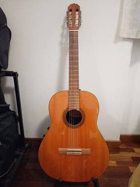 Applause by Ovation AE33