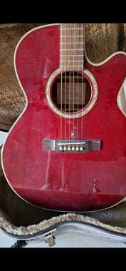 Takamine EG540SSC