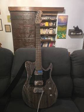 Chitarra di liuteria Panico T series