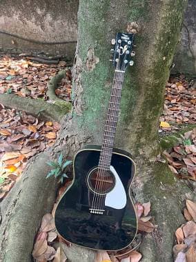 Yamaha FG-435 BL
