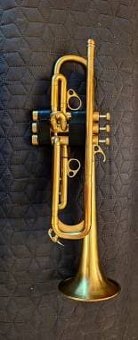 Antoine Courtois Evolution 1 reverse