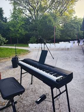 Yamaha P255