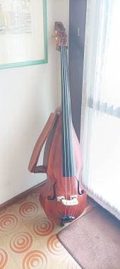 Contrabbasso liuteria Roberto Franceschini (104 diapason)