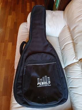 custodia semirigida per chitarra acustica o semiacustica