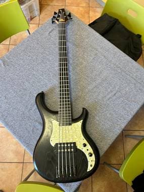 Vendo basso 5 corde Human Base ex modello X Over - ora Roxy 5 Strings